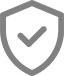 safe shield icon